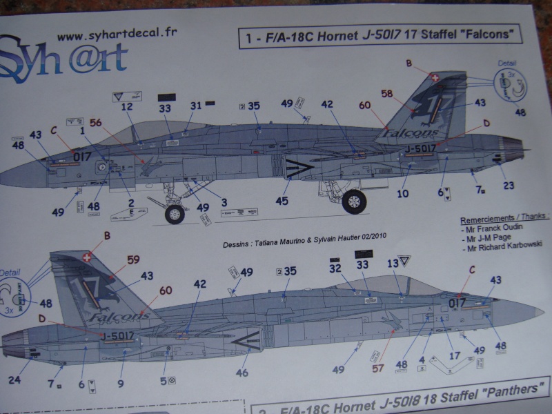 F/A 18C swiss air force de la  staffel 17 au  1/48 Hobby boss  Dsc04824