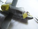 Curtiss SOC-3 "Seagull" 1:72 Hasegawa 9210
