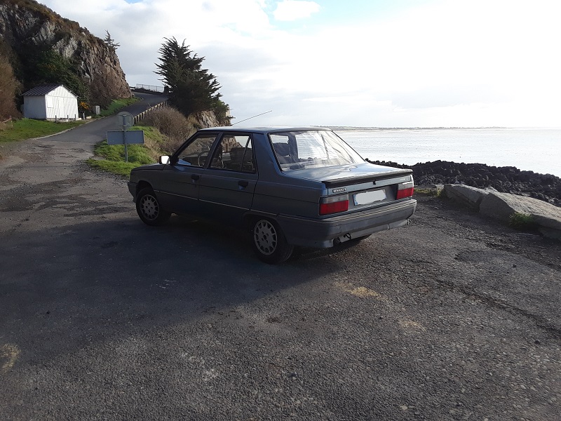 Renault 9 TL de 1987 - Page 9 223