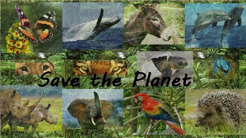 Mon forum "Save the Planet" ♥ Save_t10
