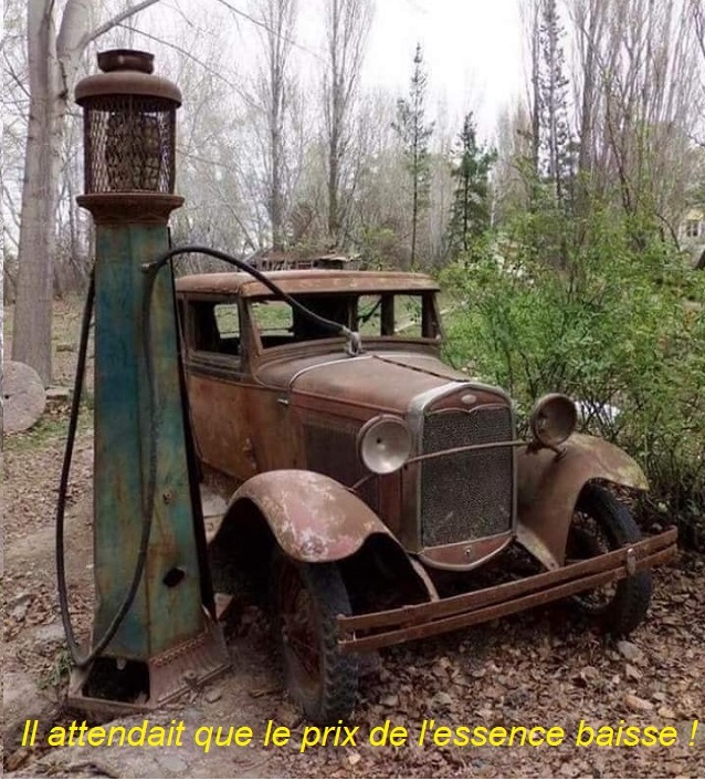 Humour du jour - Page 6 46440510