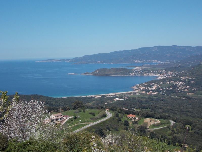 Corse, avril 2013 07510