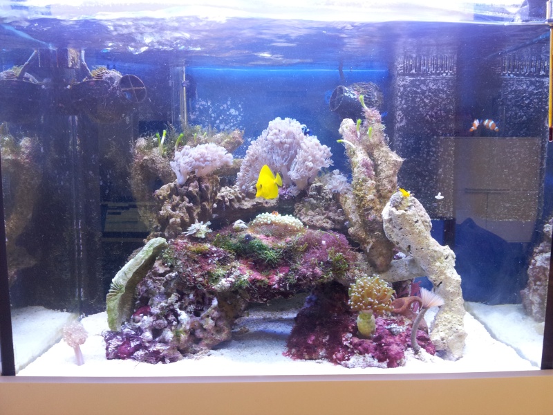 Aquarium de Samix  3610