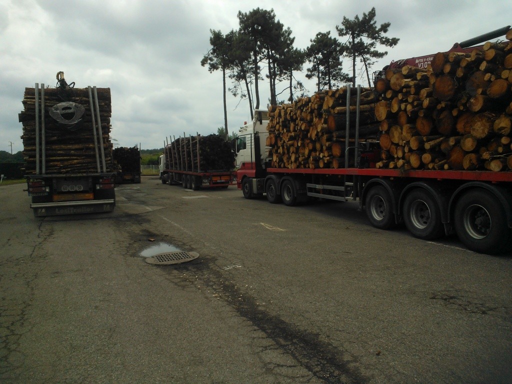 Usine et Aire de stockage de Bois ( France) Wp_00054