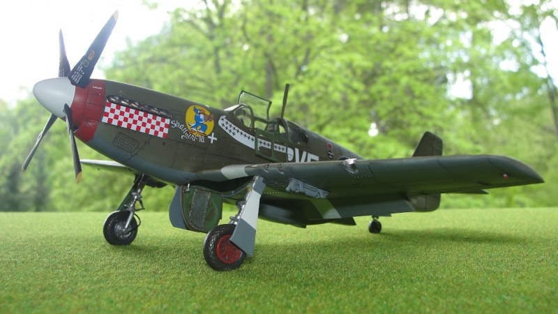   P-51D MUSTANG D-Day - Hasegawa 1/48 01614