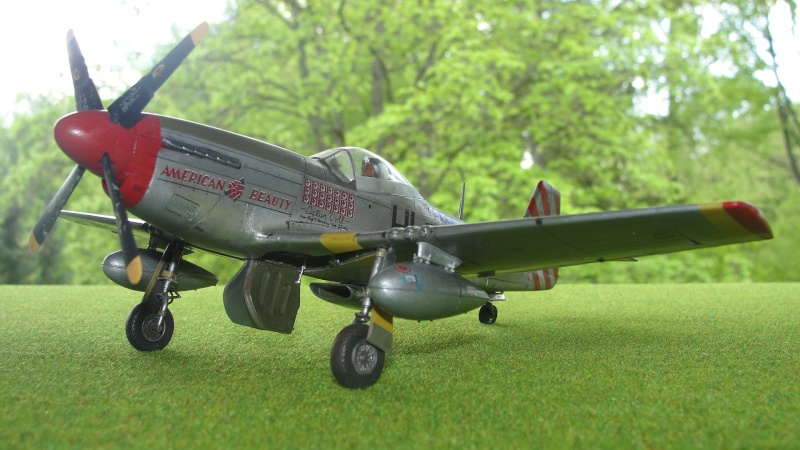   P-51D MUSTANG D-Day - Hasegawa 1/48 01713