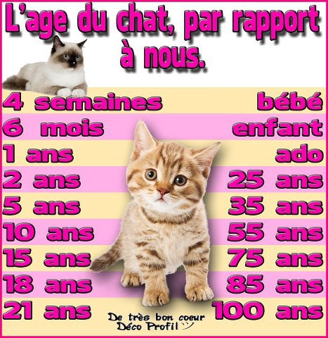 Chat alors! - Page 2 94412810