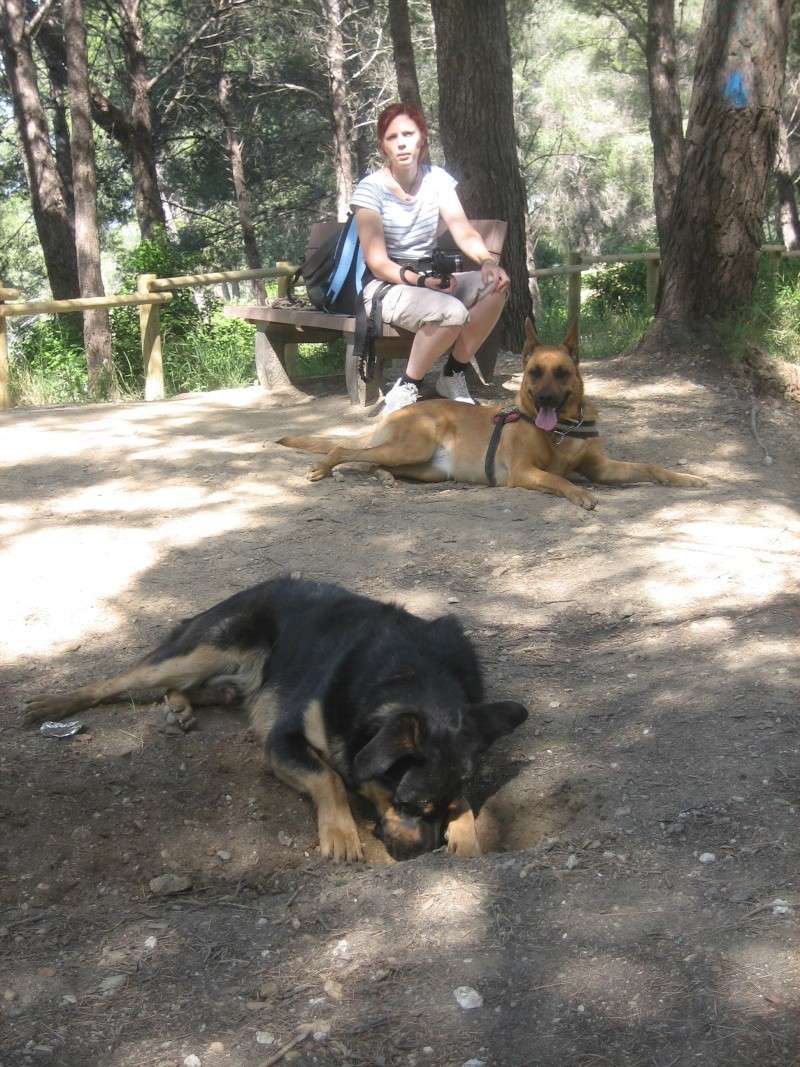 Balades avec chiens dans les environs de Toulon - Page 2 Img_0015