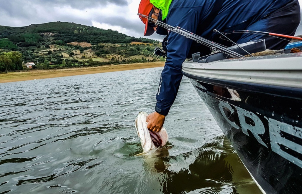 visite des géants d'extremadura 46093410