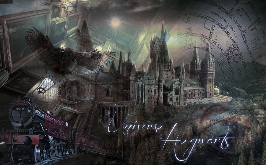 Hogwarts Universe Claraa10