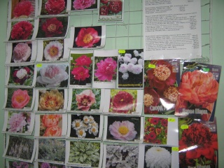 товары и растения в магазине "мой сад" Img_2433