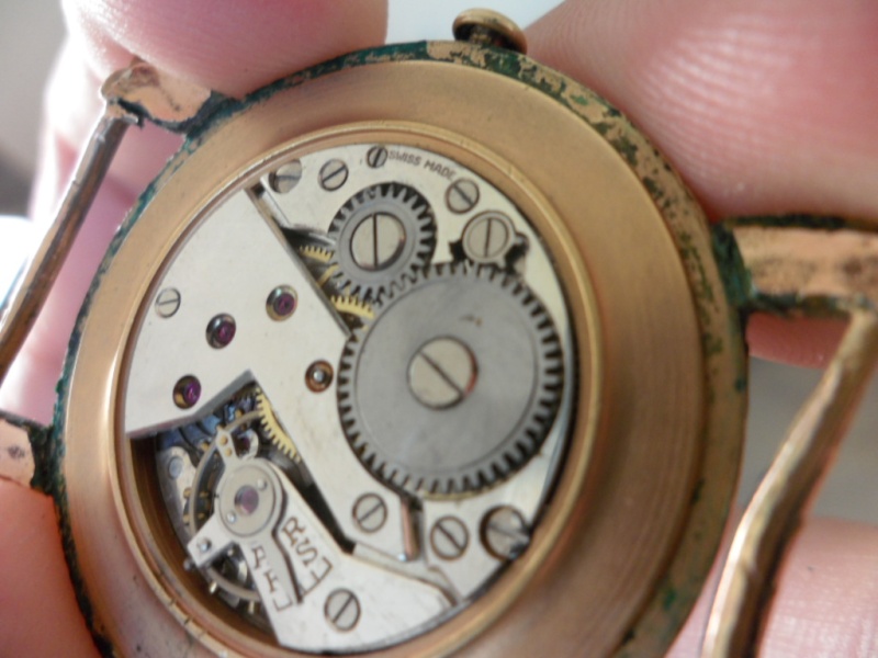 precision - Pour faire identifier son mouvement : C'est ici ! - Page 17 Sam_2212
