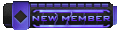 New Member New Member