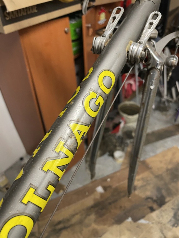 Colnago Nuovo Mexico 83/84 B43c1010