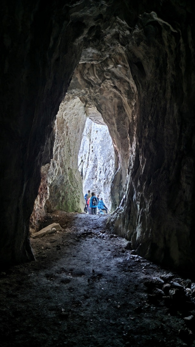 img-1c10.jpg