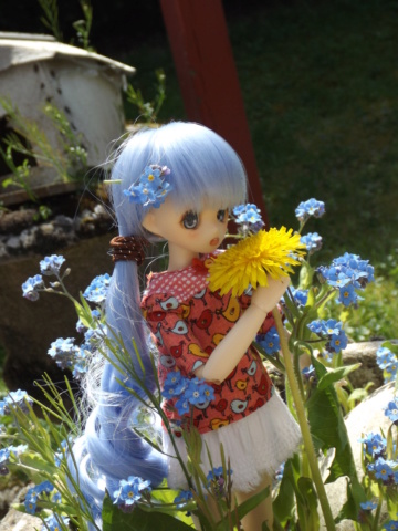 Ayumi - [Parabox Obitsu 24 - Petite Hime]  Ayumi, ma première Anime Doll ^^ Dscf8817