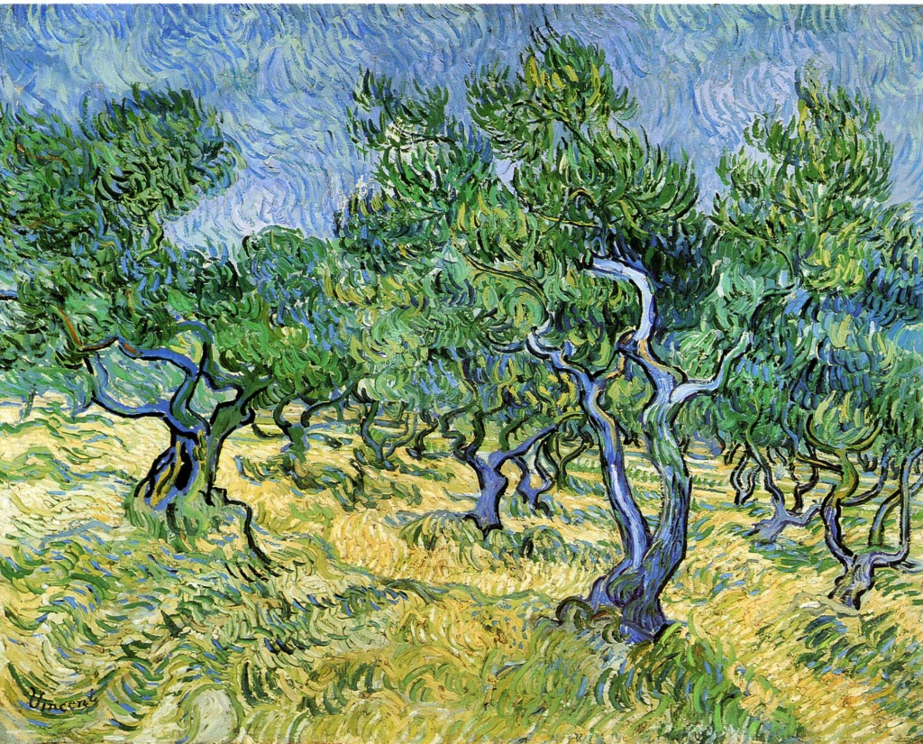 Vincent Willem van Gogh,   (peintre) - Page 2 Olive-10