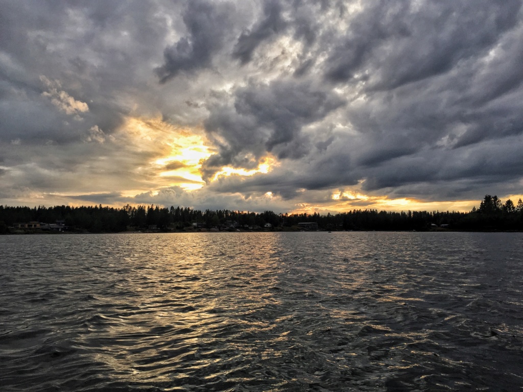 Le voilà- Suède 2019- un mois intense dans la nature Lapone Img_9022