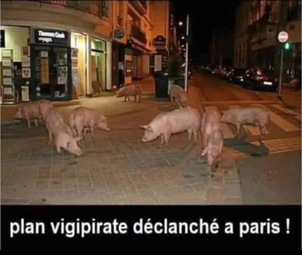 Humour en vrac et en images  41482210