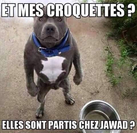 Humour en images VI Dad10710