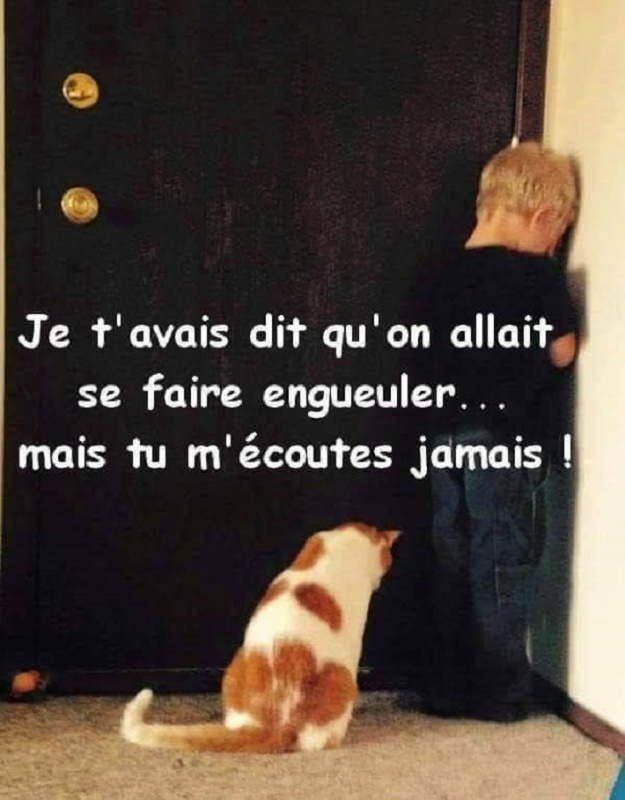 Humour en vrac et en images Log_in10