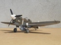 1/48 P-40F AMtech Dscn6417