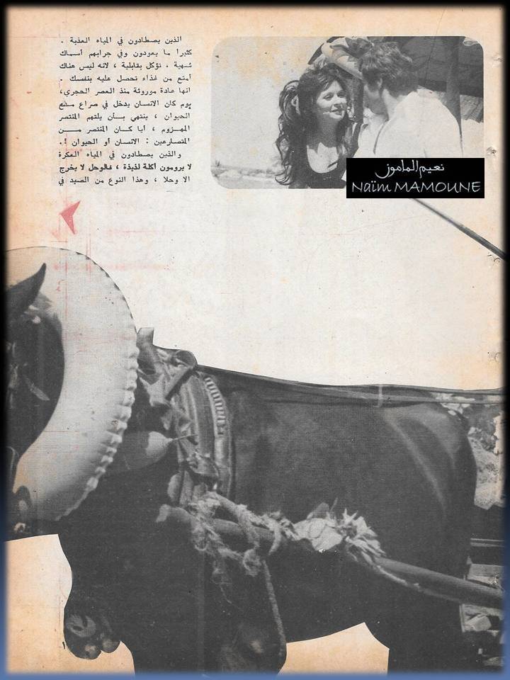 مقال صحفي : مشوار في عربة وبعدها عاد الصفاء بين السندريللا و حسين فهمي 1974 م 3261