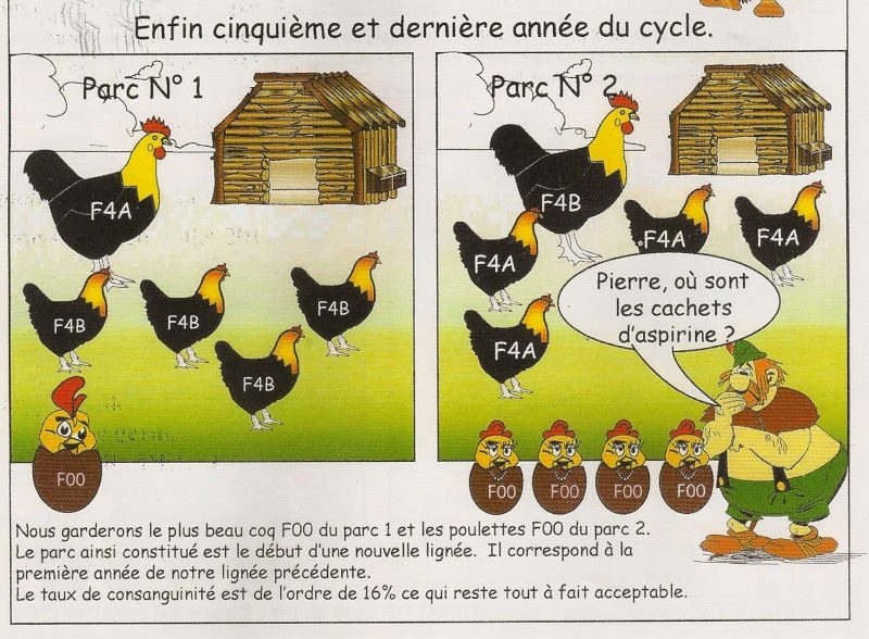 Méthode de reproduction en image A510