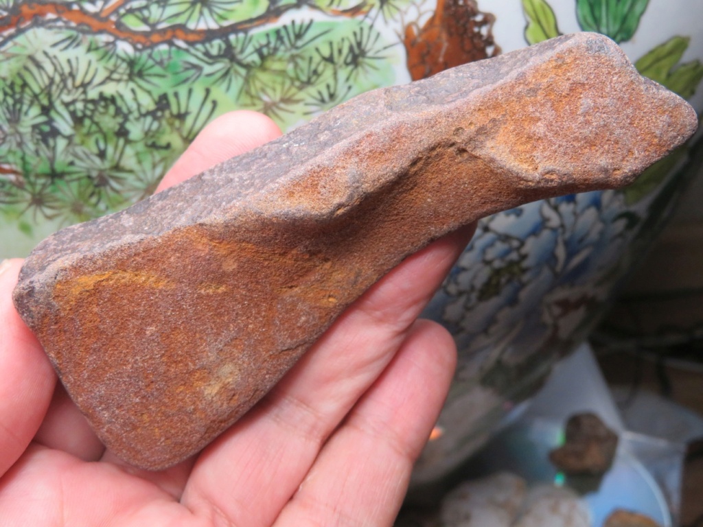 Portable Rock Art - Sauropods  Portab31