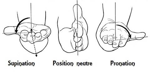 Pronation et supination discount