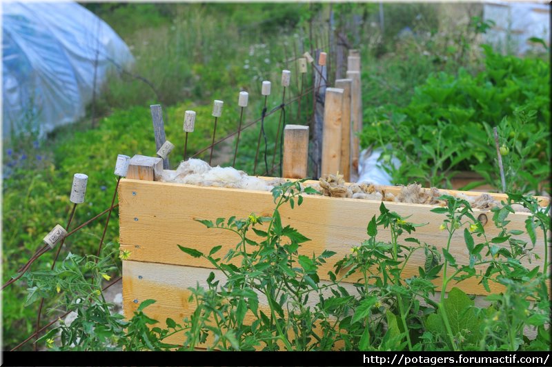 COFFRE - coffre potager bio climatique isolation laine de mouton (plusieurs vidéos) 021_co10