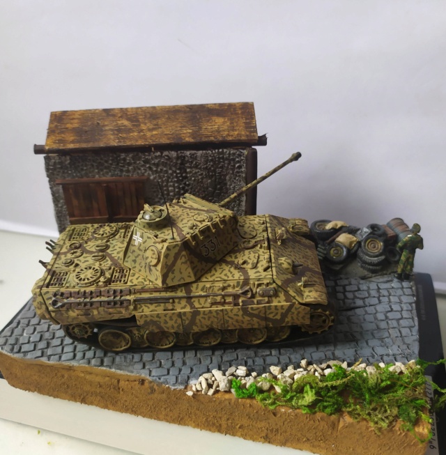 Sdkfz 171  Panther -- 3D produc --1/72 16233214