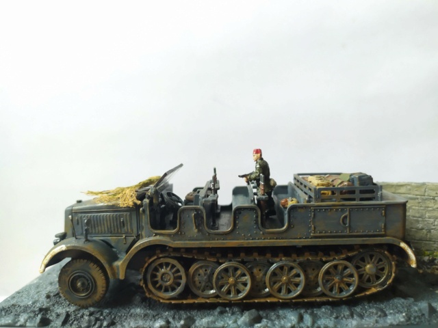 SDKFZ 8 - Marque 4D - 1/72 25-01-13