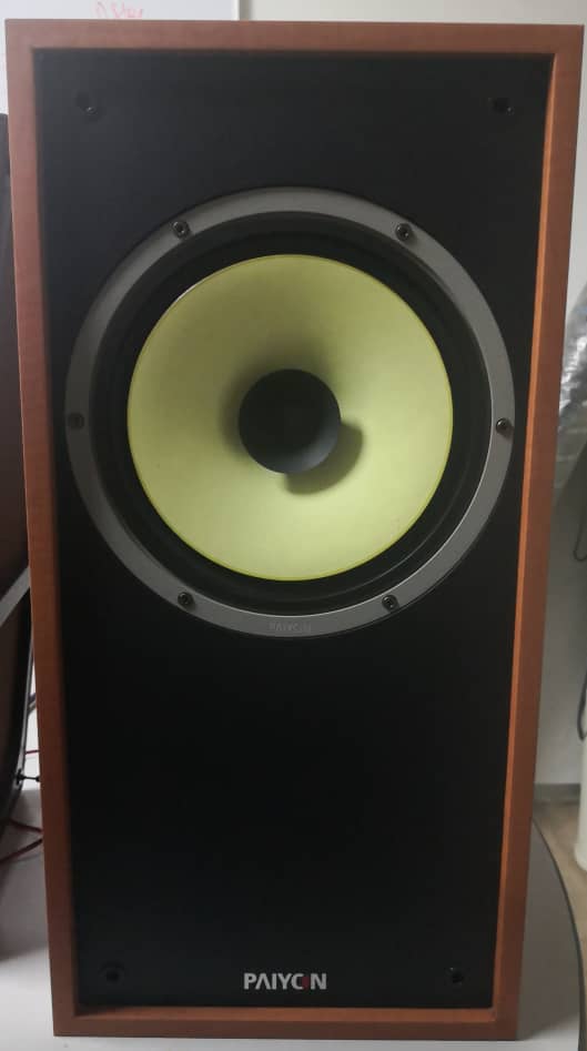 (Sold)  Paiyon P-F8 Full Range Speaker (Reduced) Paiyon11