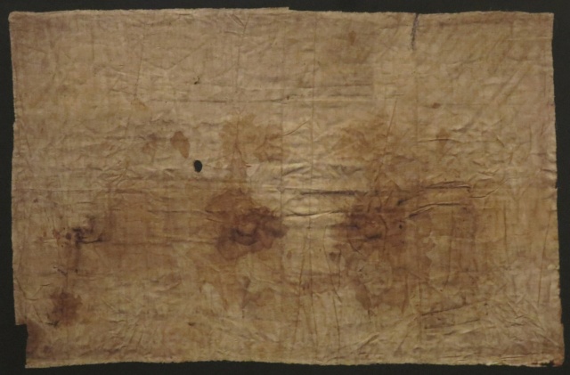 The Shroud of Turin:  Christ's Evidence of the Resurrection - Page 3 05c10