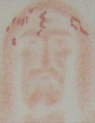 The Shroud of Turin:  Christ's Evidence of the Resurrection - Page 3 08c10