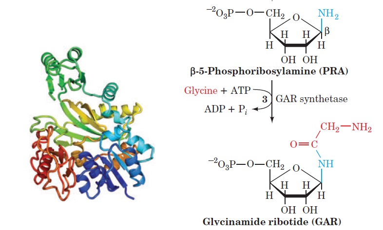  The RNA-DNA Nexus 1814