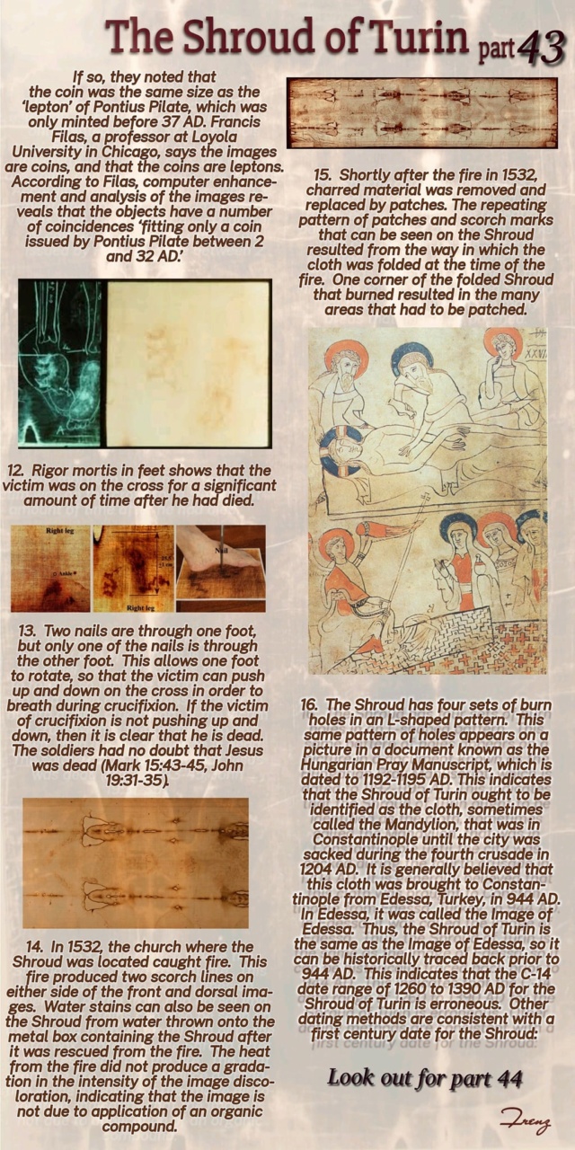 The Shroud of Turin:  Christ's Evidence of the Resurrection - Page 2 32745310