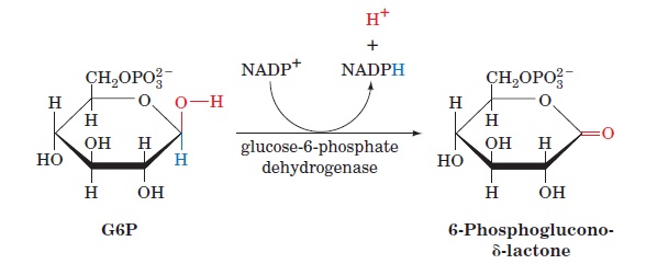  The RNA-DNA Nexus - Page 2 6410