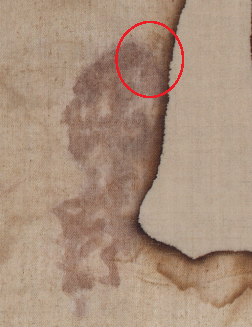 The Shroud of Turin:  Christ's Evidence of the Resurrection - Page 2 Bloodw10