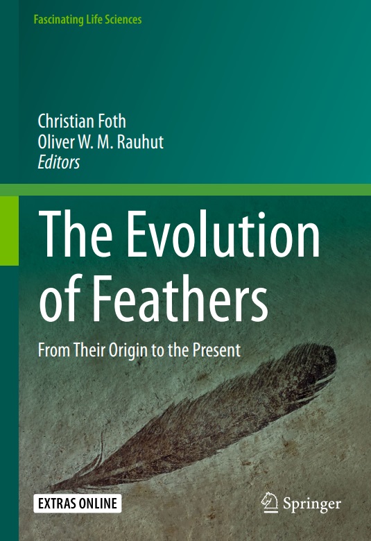 Can the origin of feathers be explained through evolution ?  Ddddrr10
