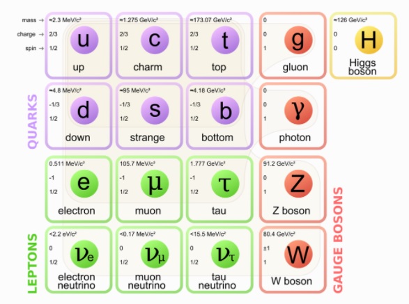 Where Does The Mass Of A Proton Come From? Fundam10