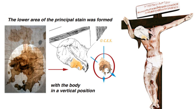 From Forensics to Faith: The Shroud of Turin's History and Authenticity Under Scrutiny - Page 2 Imageo10