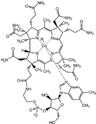 Key Cofactors in C1 Metabolism of Chemolithoautotrophs Molecu10