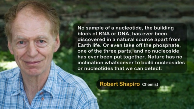 RNA & DNA: It's prebiotic synthesis: Impossible !!  Robert11