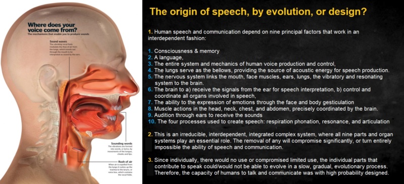 Language: The origin of language Speech10