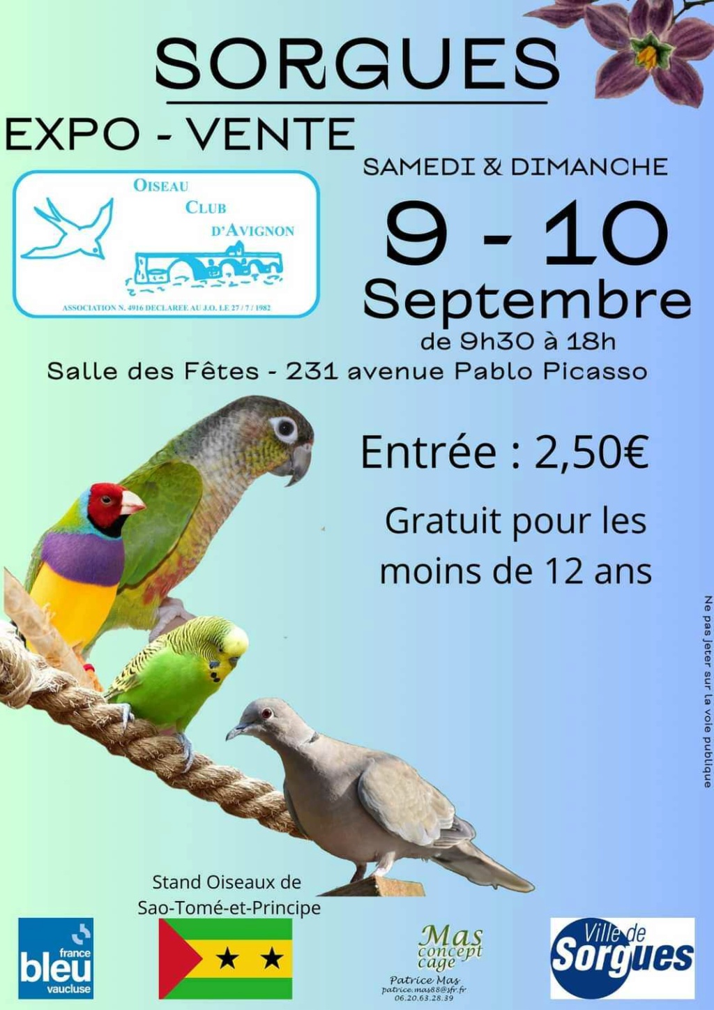 Sorgues (84) - (Bourse aux oiseaux) 16893510