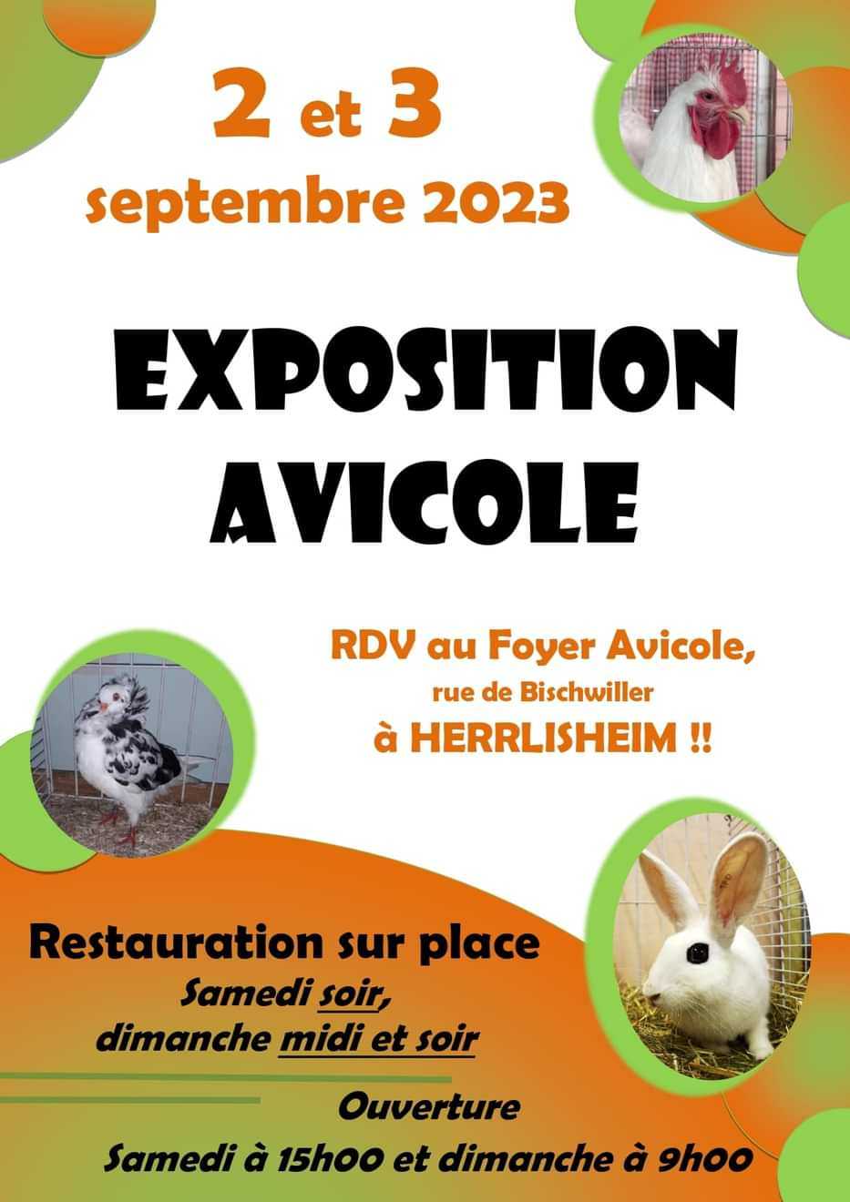 Herrlisheim (67) - (Expo avicole) 16912110