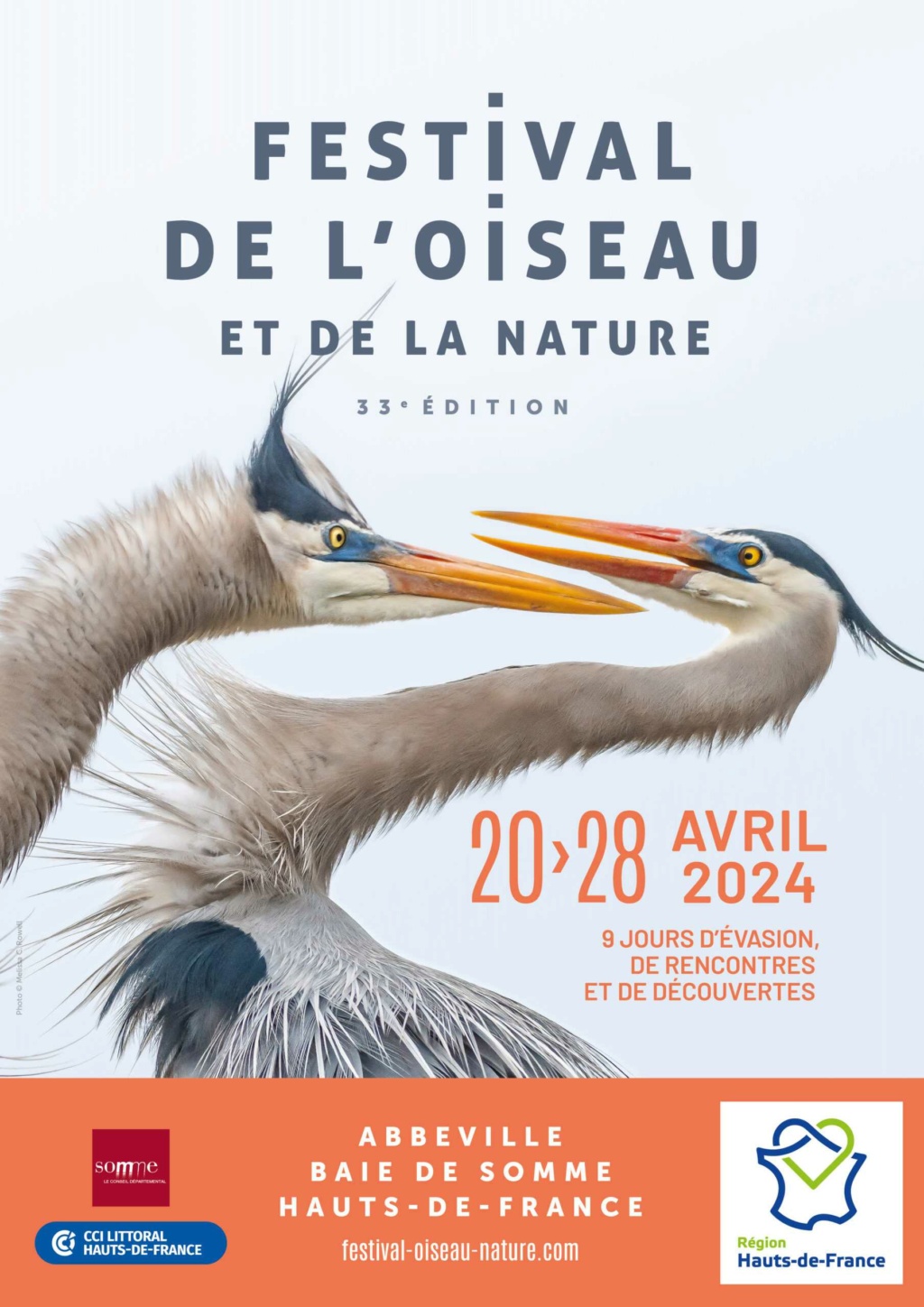 Baie de Somme - (Festival de l'Oiseau et de la Nature 2024) 16954011