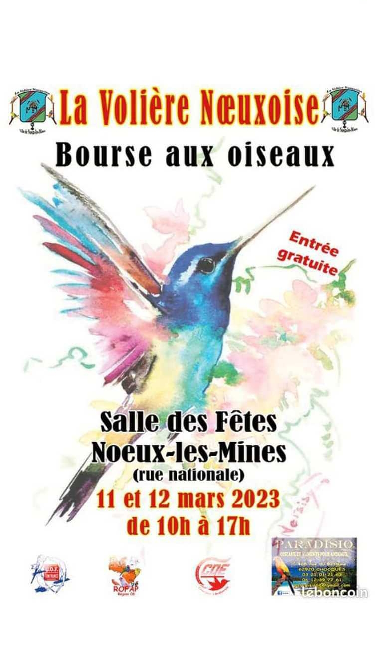 Nœux-les-Mines (62) - (Bourse aux oiseaux) 20230210